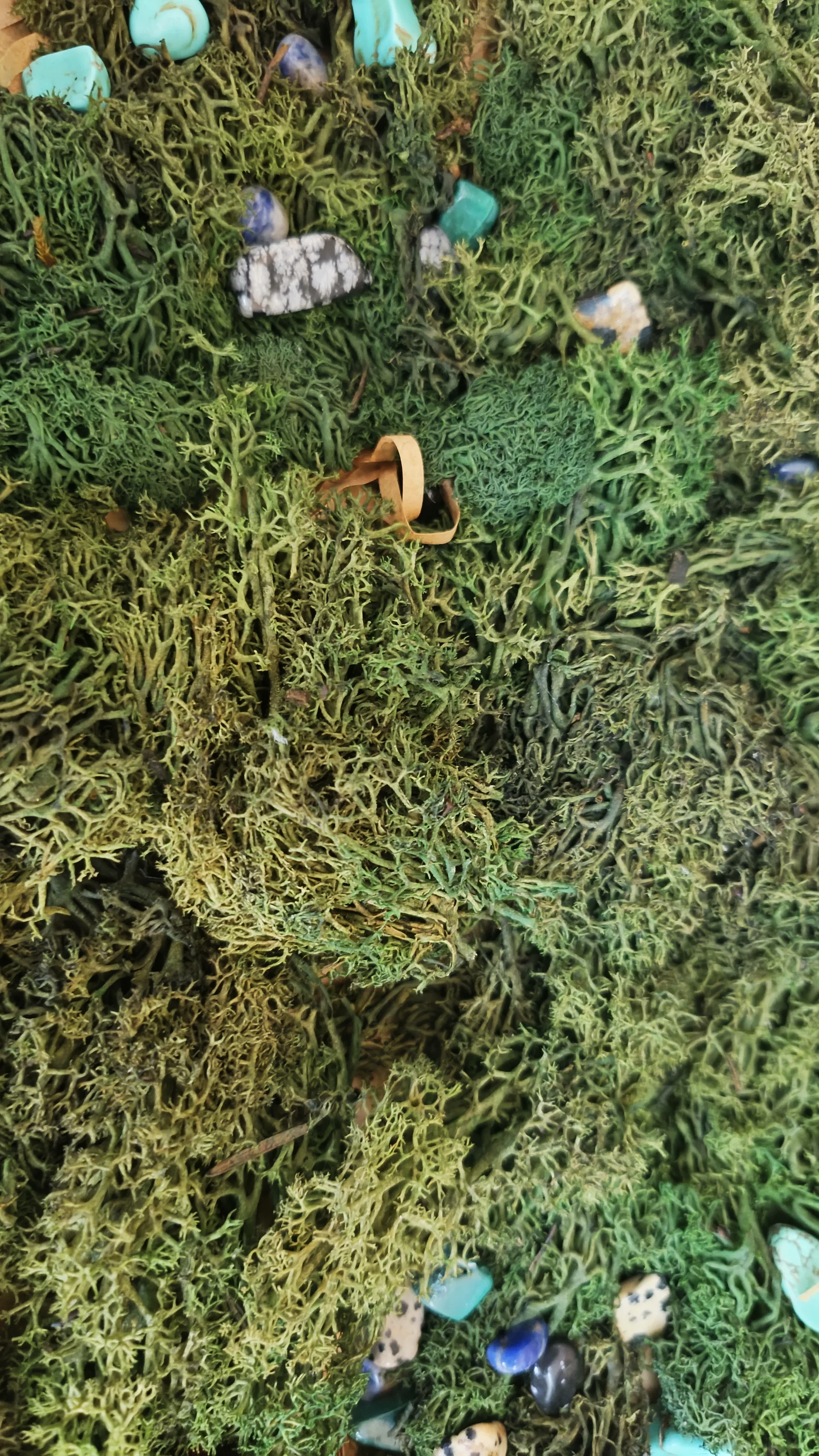 Sustainable fabrics